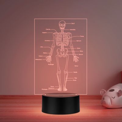 Skeleton of Human Body with Names 7 Color Changing Light with Remote Control
